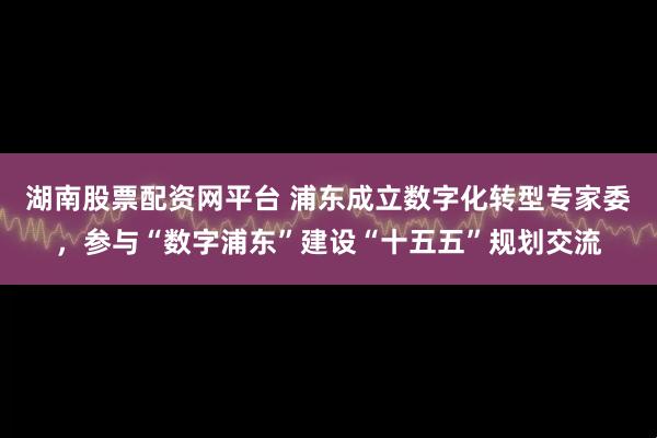 湖南股票配资网平台 浦东成立数字化转型专家委,参与“数字浦东”建设“十五五”规划交流