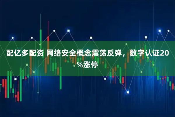 配亿多配资 网络安全概念震荡反弹，数字认证20%涨停