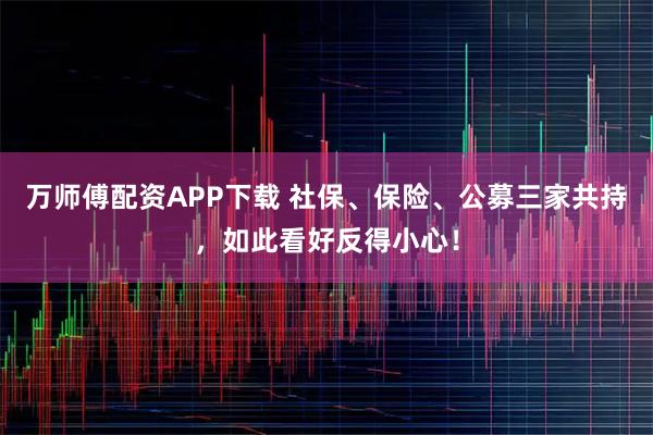 万师傅配资APP下载 社保、保险、公募三家共持，如此看好反得小心！