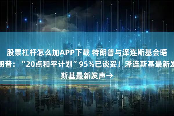 股票杠杆怎么加APP下载 特朗普与泽连斯基会晤！特朗普：“20点和平计划”95%已谈妥！泽连斯基最新发声→