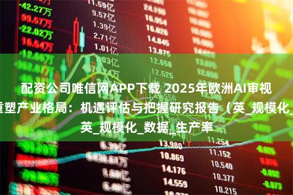 配资公司唯信网APP下载 2025年欧洲AI审视：为新时代重塑产业格局：机遇评估与把握研究报告（英_规模化_数据_生产率